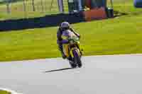 Middle Group Yellow Bikes